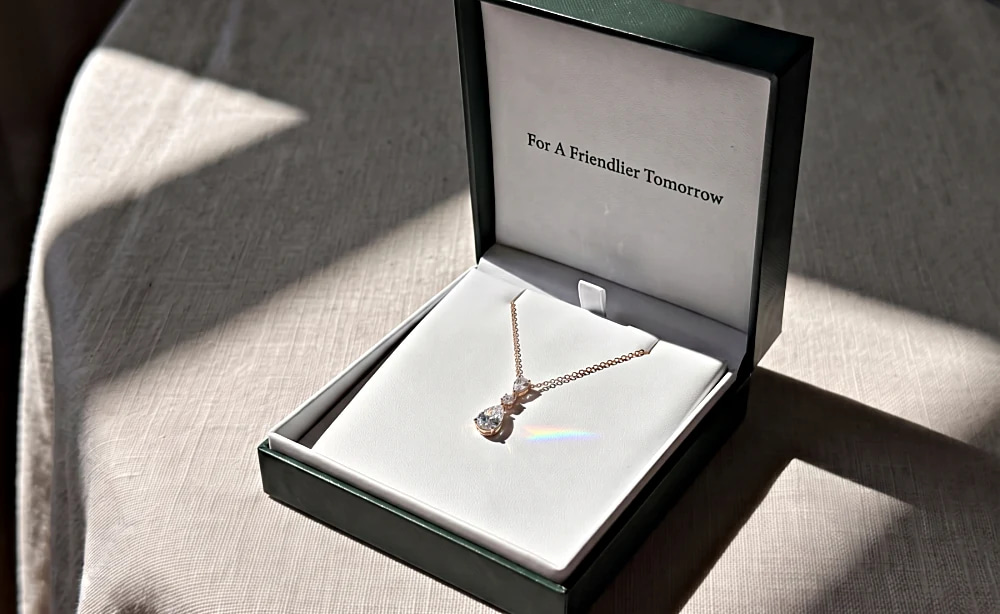 Friendly Diamonds fashion necklace packaging two
